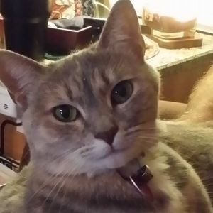 Meet your Posher, Cindy